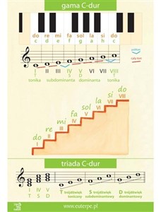 Bild von Tablica 1 - Gama C-dur