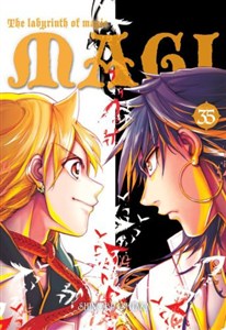 Bild von Magi: Labirynth of Magic. Tom 35