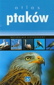 Obrazek Atlas ptaków