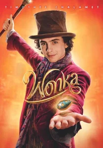 Bild von Wonka DVD