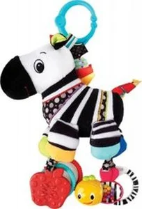 Bild von Sensory Zebra