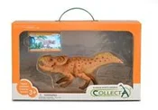 Protocerat... -  Książka z wysyłką do Niemiec 