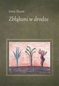 Zbłąkani w... - Irene Sturm -  fremdsprachige bücher polnisch 
