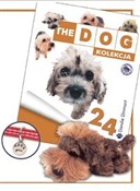 Polnische buch : Terier Dan...