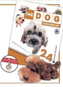 Obrazek Terier Dandie Dinmont