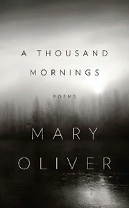 Bild von A Thousand Mornings