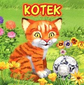 Kotek - Katarzyna Campbell -  fremdsprachige bücher polnisch 