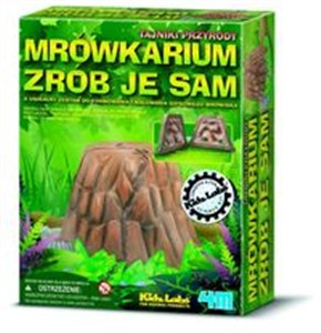 Bild von Mrówkarium Zrób je sam