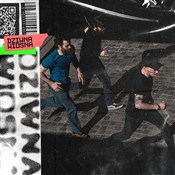 CD Dziwna ... - Dziwna Wiosna . -  Polnische Buchandlung 