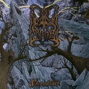 Polnische buch : Stormblast... - Dimmu Borgir
