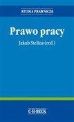 Prawo prac... - Artur Rycak, Magdalena Barbara Rycak, Monika Tomaszewska, Marcin Zieleniecki, Jakub Stelina -  Polnische Buchandlung 