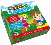 Książka : Eko Labiry...