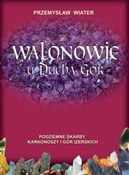 Zobacz : Walonowie ... - Przemysław Wiater