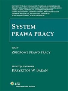 Bild von System prawa pracy Tom V. Zbiorowe prawo pracy