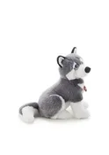 Książka : Husky Marc...
