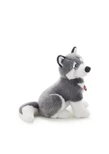 Obrazek Husky Marcus L