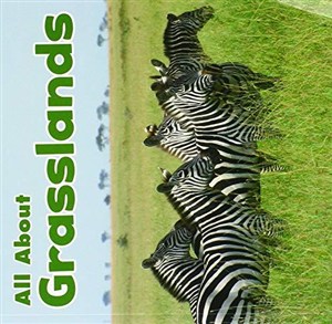 Bild von All About Grasslands