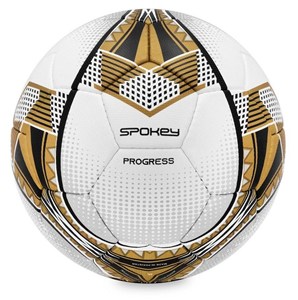 Bild von Piłka nożna Progress