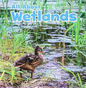 Bild von All About Wetlands