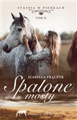 Polska książka : Spalone mo... - Izabella Frączyk
