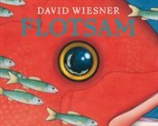 Flotsam - David Wiesner -  fremdsprachige bücher polnisch 