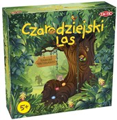 Czarodziej... - buch auf polnisch 