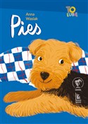 Książka : Pies - Anna Wasiak
