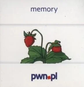 Bild von Memory Logopedia