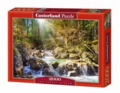 Puzzle The... -  Książka z wysyłką do Niemiec 