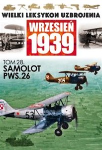 Obrazek Samolot PWS.26