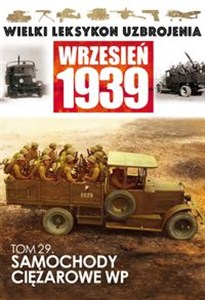 Bild von Samochody Ciężarowe WP