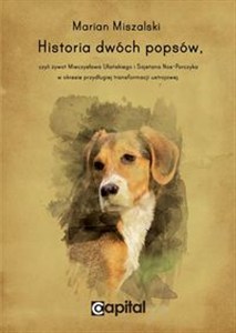 Bild von Historia dwóch popsów