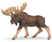 Łoś - Ksiegarnia w niemczech