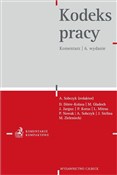 Kodeks pra... - buch auf polnisch 
