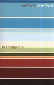 Obrazek In Patagonia