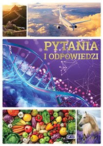 Obrazek Pytania i odpowiedzi