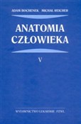 Anatomia c... - Adam Bochenek, Michał Reicher -  Książka z wysyłką do Niemiec 