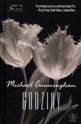 Godziny - Michael Cunningham -  polnische Bücher