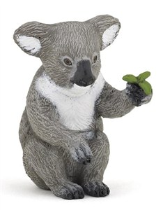 Obrazek Koala