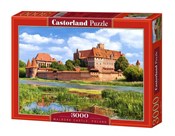 Puzzle Zam... -  fremdsprachige bücher polnisch 