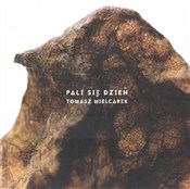 Pali się d... - Tomasz Mielcarek -  fremdsprachige bücher polnisch 