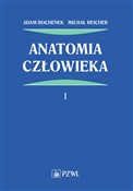 Zobacz : Anatomia c... - Adam Bochenek, Michał Reicher
