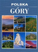 Polska Gór... - Marcin Panek -  Polnische Buchandlung 