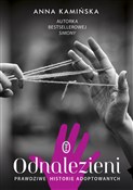 Odnalezien... - Anna Kamińska -  Książka z wysyłką do Niemiec 
