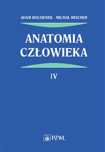 Obrazek Anatomia człowieka Tom 4