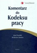 Komentarz ... - Józef Iwulski, Walerian Sanetra -  Polnische Buchandlung 