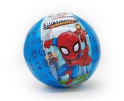 Piłka plaż... -  Książka z wysyłką do Niemiec 