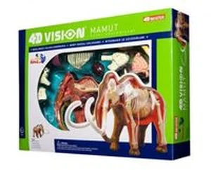 Obrazek 4D Vision Mamut Model anatomiczny