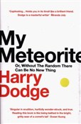 My Meteori... - Harry Dodge -  Książka z wysyłką do Niemiec 