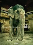 Andreas H.... - Andreas H. Bitesnich -  polnische Bücher